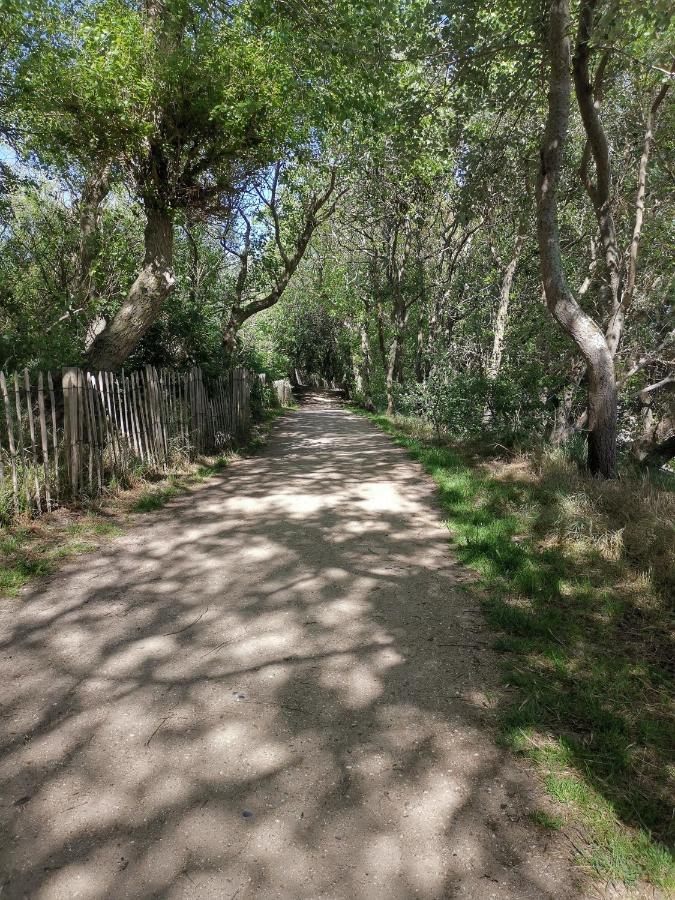 Griad In De Duinen 데한 외부 사진